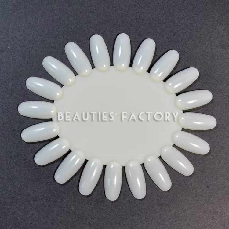 Oval Display hjul - 10st - Natural Ivory
