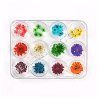 Dried Blommor set - 12st