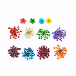 Dried Blommor set - 12st