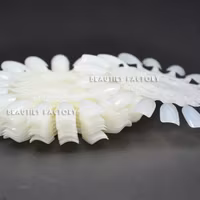 Rund Display hjul - Natural Ivory - 10st