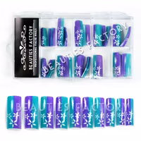 70st Airbrushed Franska Tippar - Day&Night