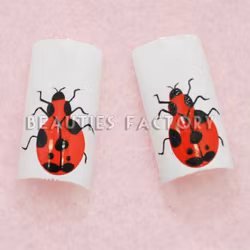 70st Airbrushed Franska Tippar - Ladybird