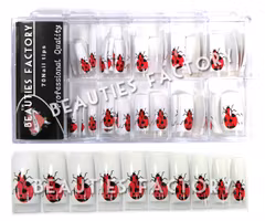 70st Airbrushed Franska Tippar - Ladybird