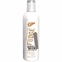 Fudge Color Lock Conditioner