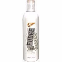 Fudge Daily Mint Shampoo