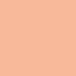 Loreal Paris True Match Powder - C3 Rose Beige