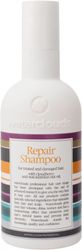Waterclouds Repair Shampoo 250ml