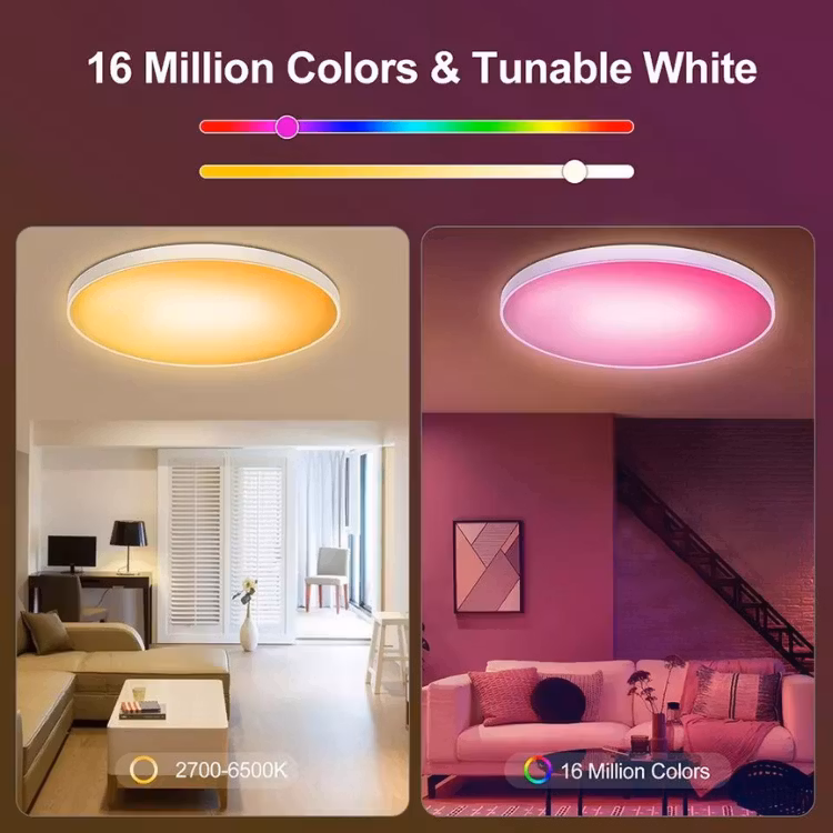 Smart home lighting WIFI-Bluetooth Remote control 30W