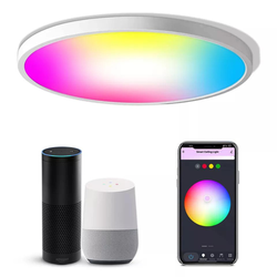 Smart LED hembelysning WiFi-Bluetooth 24W
