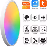 Smart LED hembelysning WiFi-Bluetooth 24W