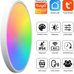 Smart LED hembelysning WiFi-Bluetooth 24W