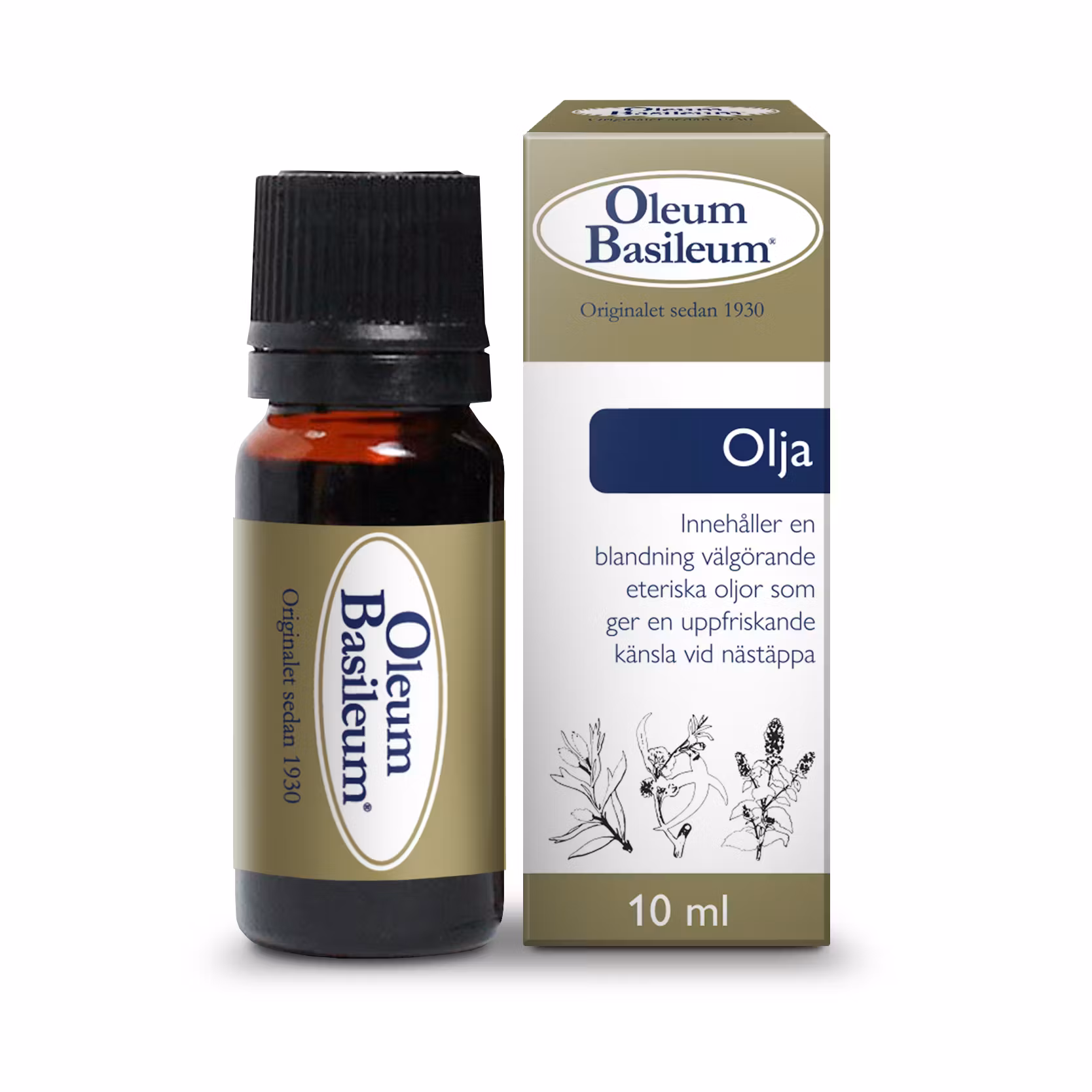 10101 Oleum Basileum olja, 10ml