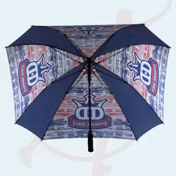 Dynamic Disc Paraply