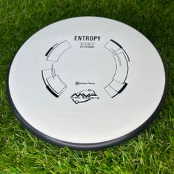 Neutron Entropy