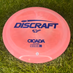 ESP Cicada