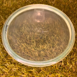 Champion Roc3 #1 (Begagnad)