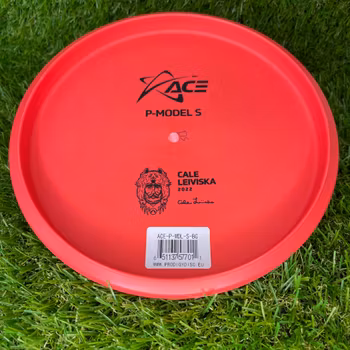 Base P Model S BBQ Cale Leiviska #1 (Begagnad)