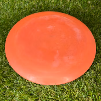 BioFuzion Sheriff #2 (Begagnad)