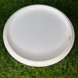 ESP Buzzz #1 (Begagnad)