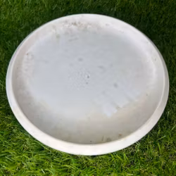 D-Line Flex 1 P2 #1 (Begagnad)