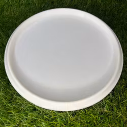 Gold Compass #2 (Begagnad)