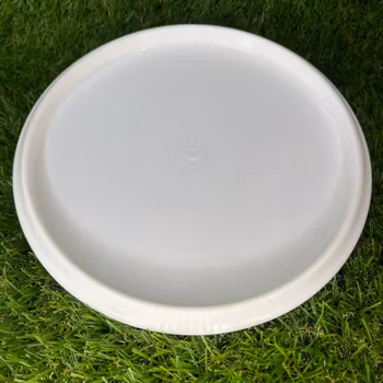 Gold Compass #2 (Begagnad)