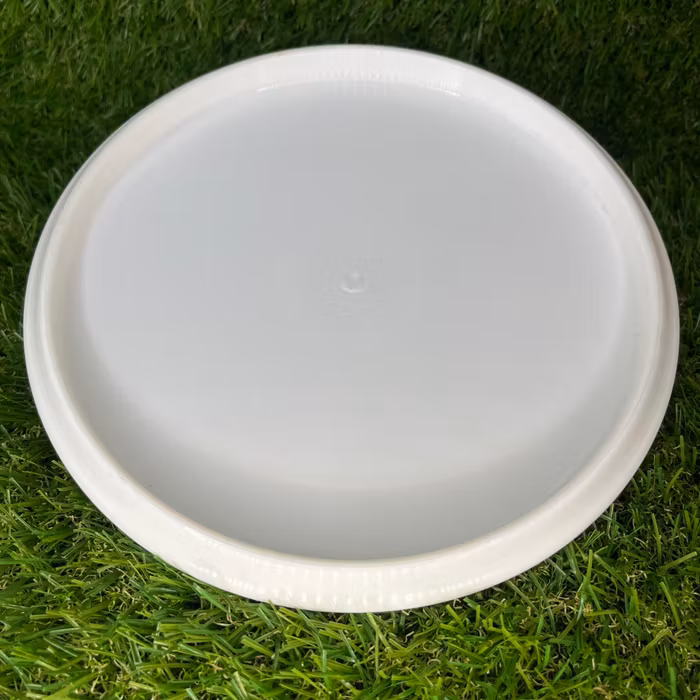 Gold Compass #2 (Begagnad)