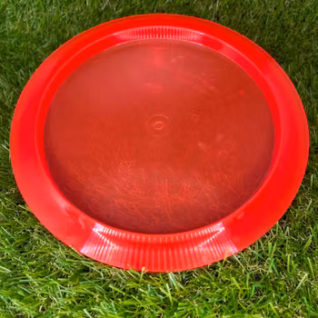 Neo Paradigm Prototype #4 (Begagnad)