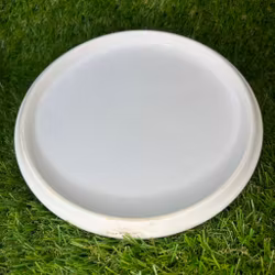 Gold Compass #3 (Begagnad)