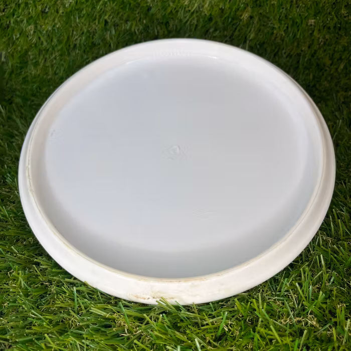 Gold Compass #3 (Begagnad)