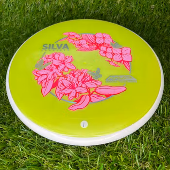 Plasma Soft Proxy Silva Saarinen 2026