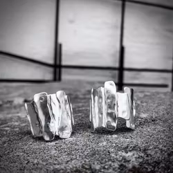 Silverring Bricks of life