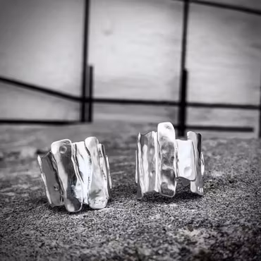 Silverring Bricks of life