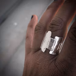 Silverring Bricks of life