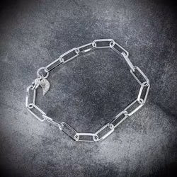 Silverarmband Chunky Chain