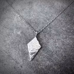 Silverhalsband Armour Plate