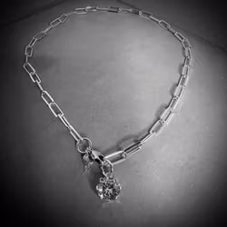 Silverhalsband Shine