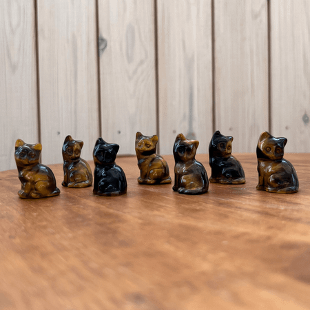 Katt Tigeröga