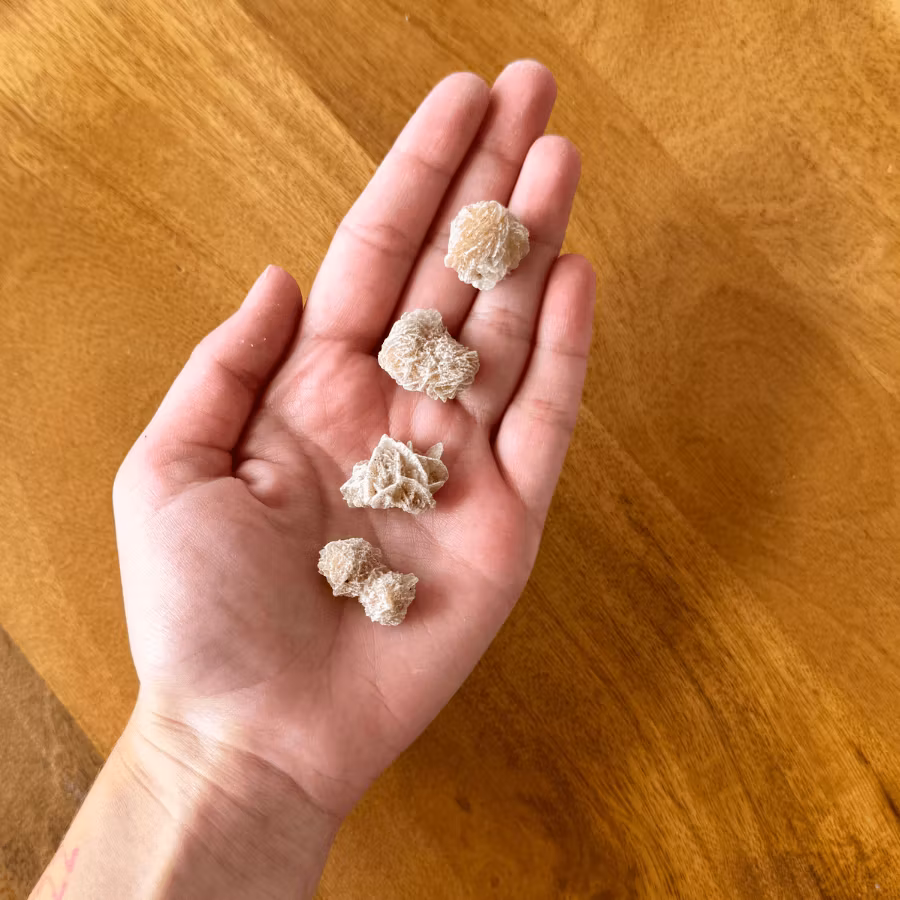 Rå Ökenros (udda form/ extra liten)