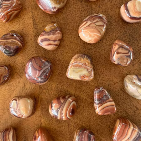 Trumlad Chokladjaspis