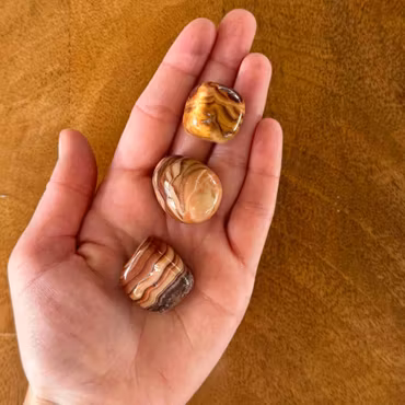 Trumlad Chokladjaspis