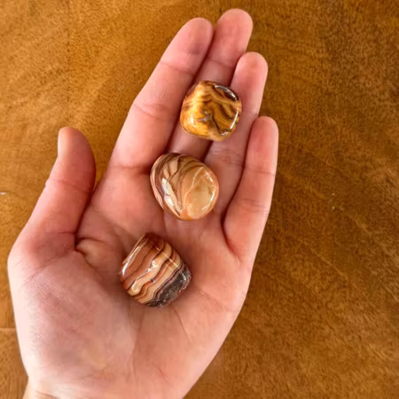 Trumlad Chokladjaspis