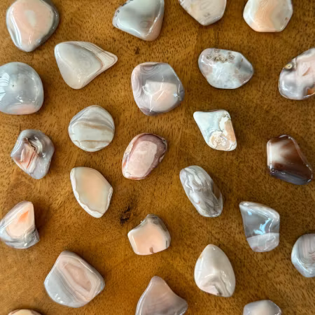 Trumlad Rosa Botswanaagat