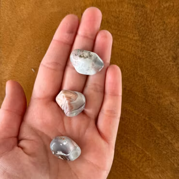 Trumlad Rosa Botswanaagat