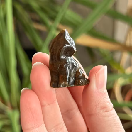 Katt Tigeröga (liten skada på tass)