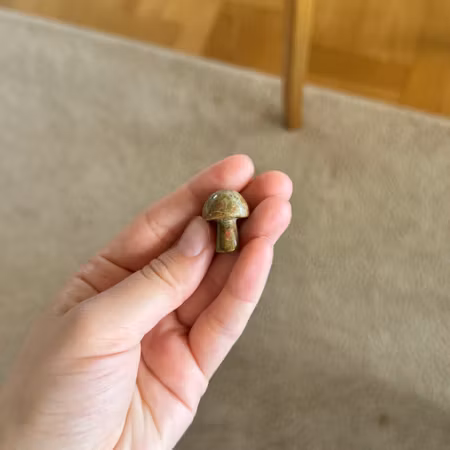 Svamp Unakit (ojämnhet)
