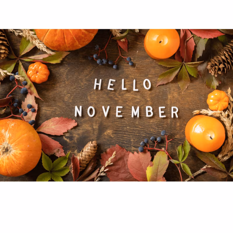 Vintervila - tid för reflektion