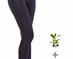 Aloe Vera Leggings med mikromassage och kompression.