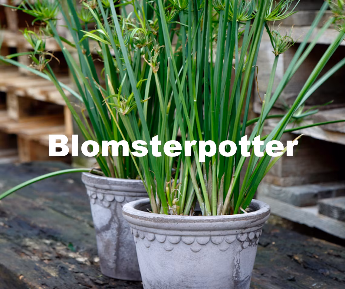 Blomsterpotter - Swift demo-no