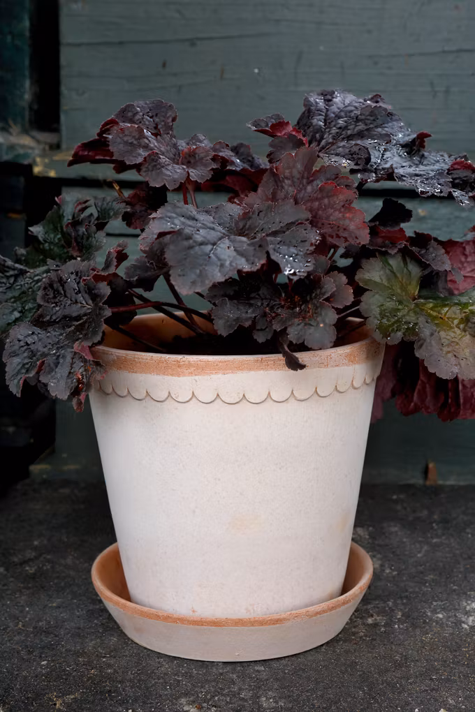 Helena potte (terrakotta 14 cm) - Bergs Potter